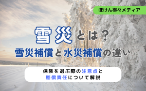 thumb_fire_insurance_snow