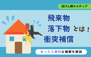 thumb_fly_drop_hit_cover