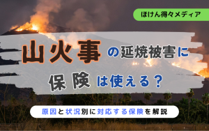 thumb_wildfire_insurance