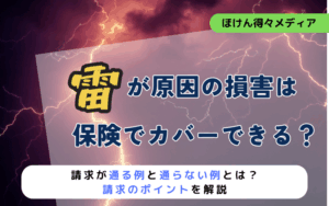 thumb_lightning_coverage